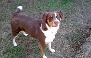 Max