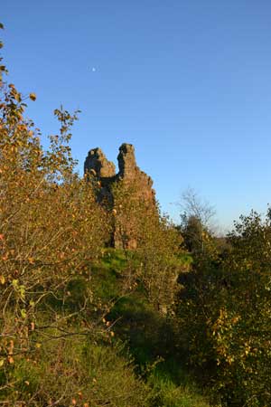 Il Castello di Fogliano