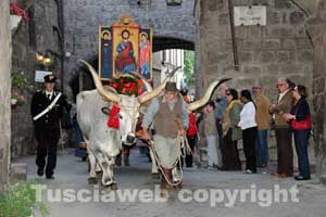 La processione del SS Salvatore