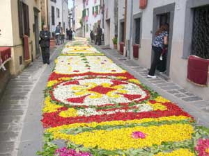 L'infiorata a Lubriano