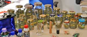 La droga sequestrata