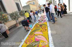 L'infiorata del Corpus Domini a Bolsena 
