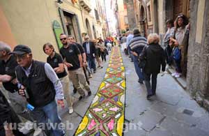 L'infiorata del Corpus Domini a Bolsena 