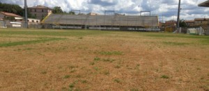 L'erba secca allo stadio Rocchi