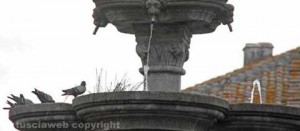 La fontana grande ridotta a risaia e abbeveratoio per piccioni