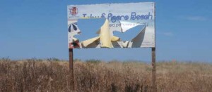 La spiaggia per cani a Tarquinia lido