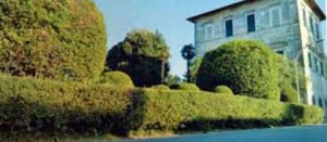 Il giardino di Villa Mariani a Vasanello