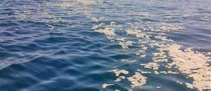 Foto dalla barca fatta il 28 luglio 2013 alle 9