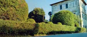 Il giardino di Villa Mariani a Vasanello