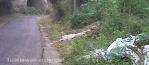 Strada Signorino (Francigena)