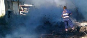 I volontari dell'Asvom in azione