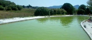 L'acqua al Bullicame scattata ieri mattina
