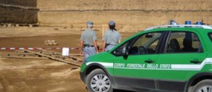 Cave, le verifiche della forestale