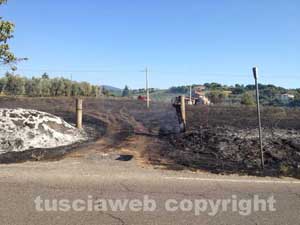 L'incendio sul bordo della Cassia sud