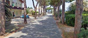 Viale dei Pini