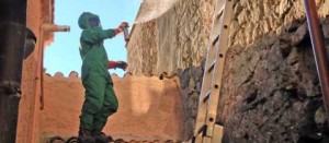 Un intervento di bonifica di un nido di calabroni
