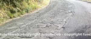 Le buche sulla strada