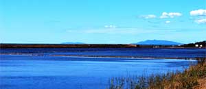 Le saline di Tarquinia