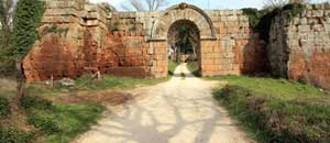 Antiche mura di Falerii Novi