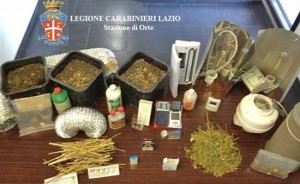 Il materiale sequestrato dai carabinieri