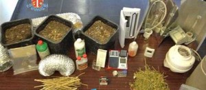 Il materiale sequestrato dai carabinieri