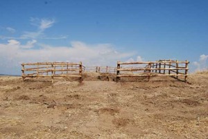 Il tumulo del gallinaro a Tarquinia restaurato dall'Università Agraria