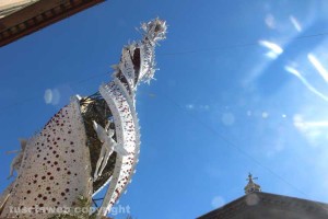 Fiore del cielo a Santa Rosa