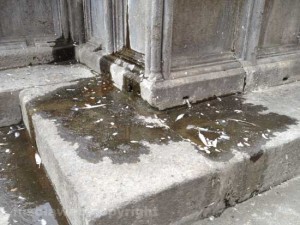 Fontana grande