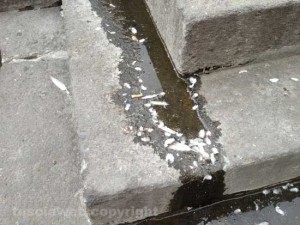Fontana grande