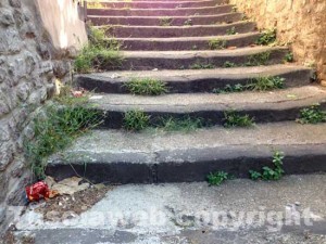 I rifiuti alla Quercia