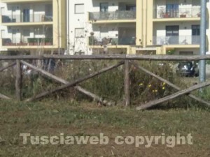 Erba alta in via Beccali