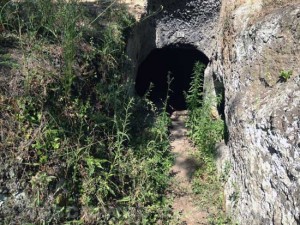 Castel d'Asso, erbacce all'ingresso di una sepoltura