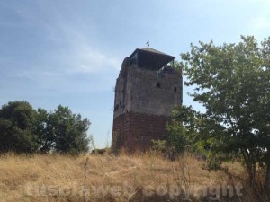 La torre a Castel d'Asso