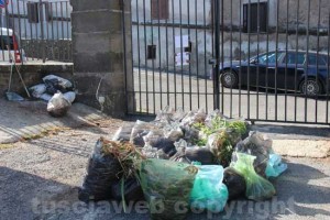 Puliamo Viterbo, i rifiuti raccolti alla scuola di San Martino