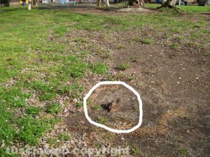 Il parco giochi di via Carlo Cattaneo