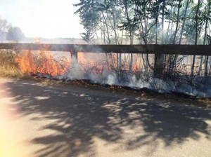 Incendio sulla strada