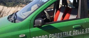 Un mezzo del corpo forestale