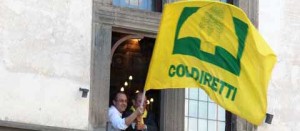 Bandiere Coldiretti da palazzo dei Priori il giorno della vittoria