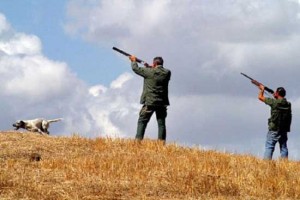 Una battuta di caccia