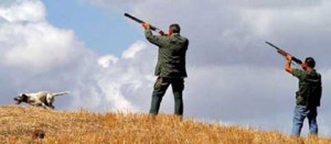 Una battuta di caccia