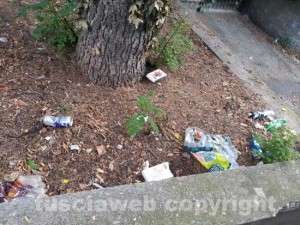 Immondizia vicino a via Ippolito Nievo 