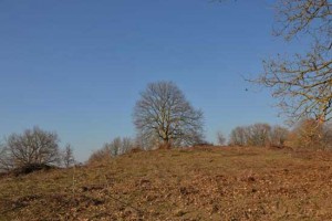 Visite guidate al parco del Treja