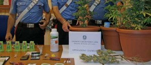 Il materiale sequestrato dai carabinieri