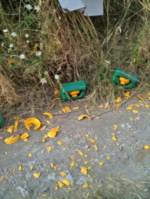 Gli oli esausti nel deposito del Poggino