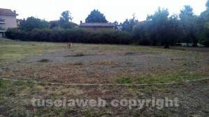 I giardini dell'Ellera