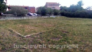I giardini dell'Ellera