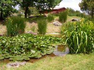 L'orto botanico