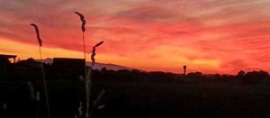 Tramonto a Pescia Romana