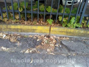 Buche e discariche varie al Pilastro