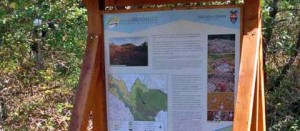 Il parco dell'Arcionello